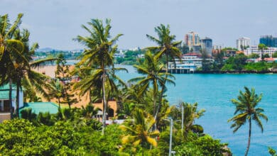 أفضل الرحلات البحرية في مدينة مومباسا