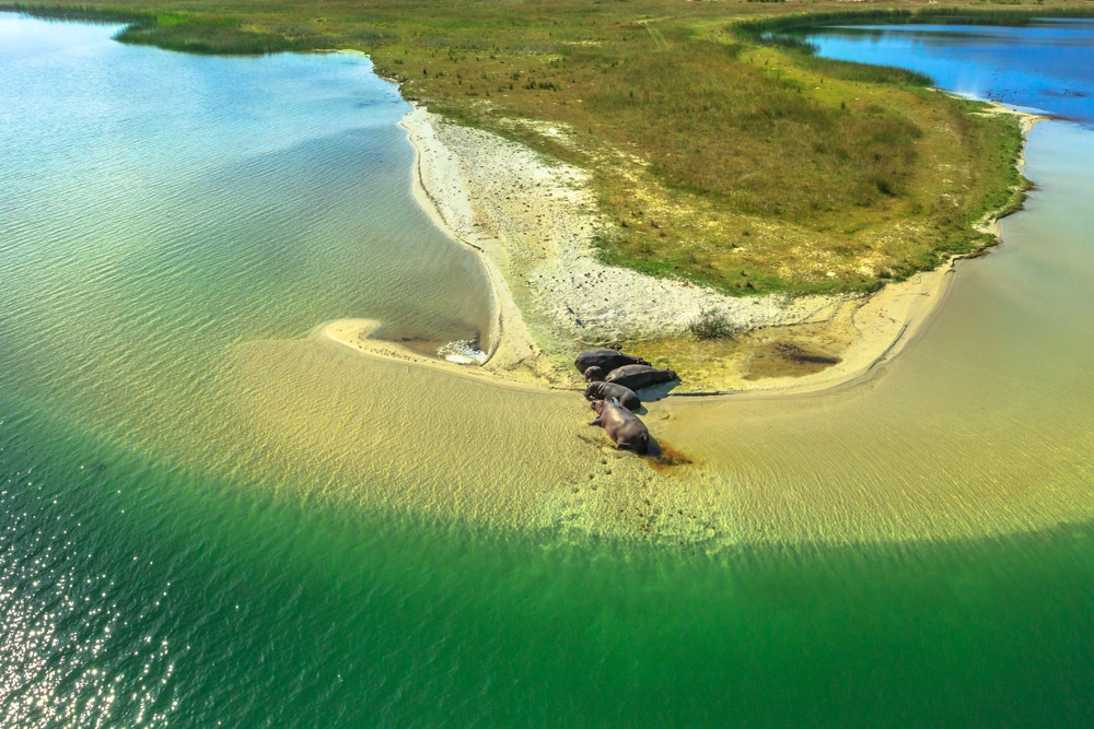 حديقة iSimangaliso Wetland 