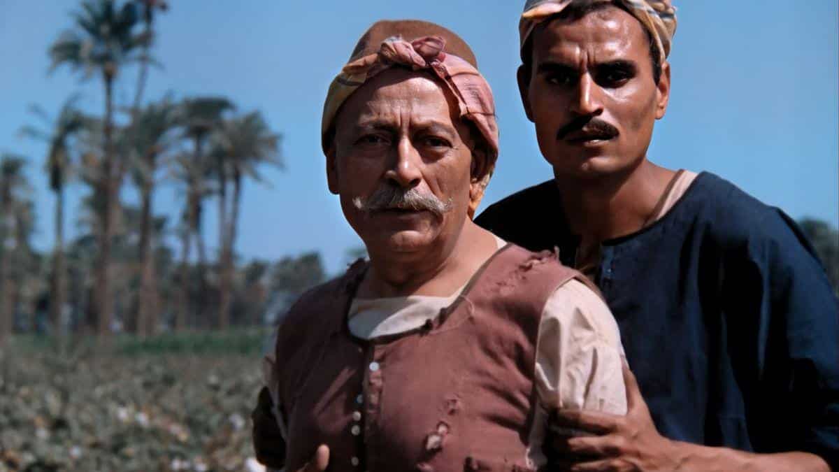 فيلم The Land (1969) الأرض