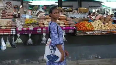 رحلة الطهي لميلا نونو هورتا تريد أن يقع العالم في حب النكهات الموزمبيقية
