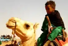شعب الطوارق | قصة كفاح في قلب الصحراء